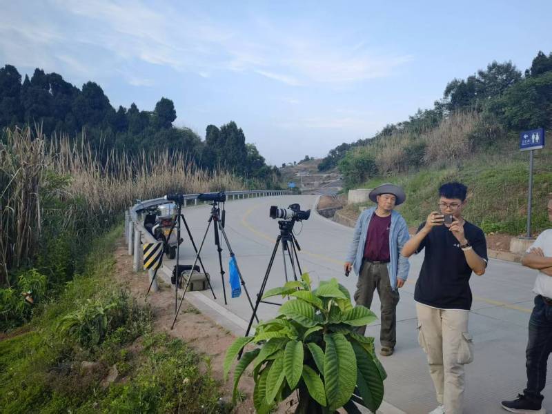 江岸区电商产品视频拍摄制作：如何打造高转化的电商视觉内容？
